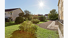 Trädgård